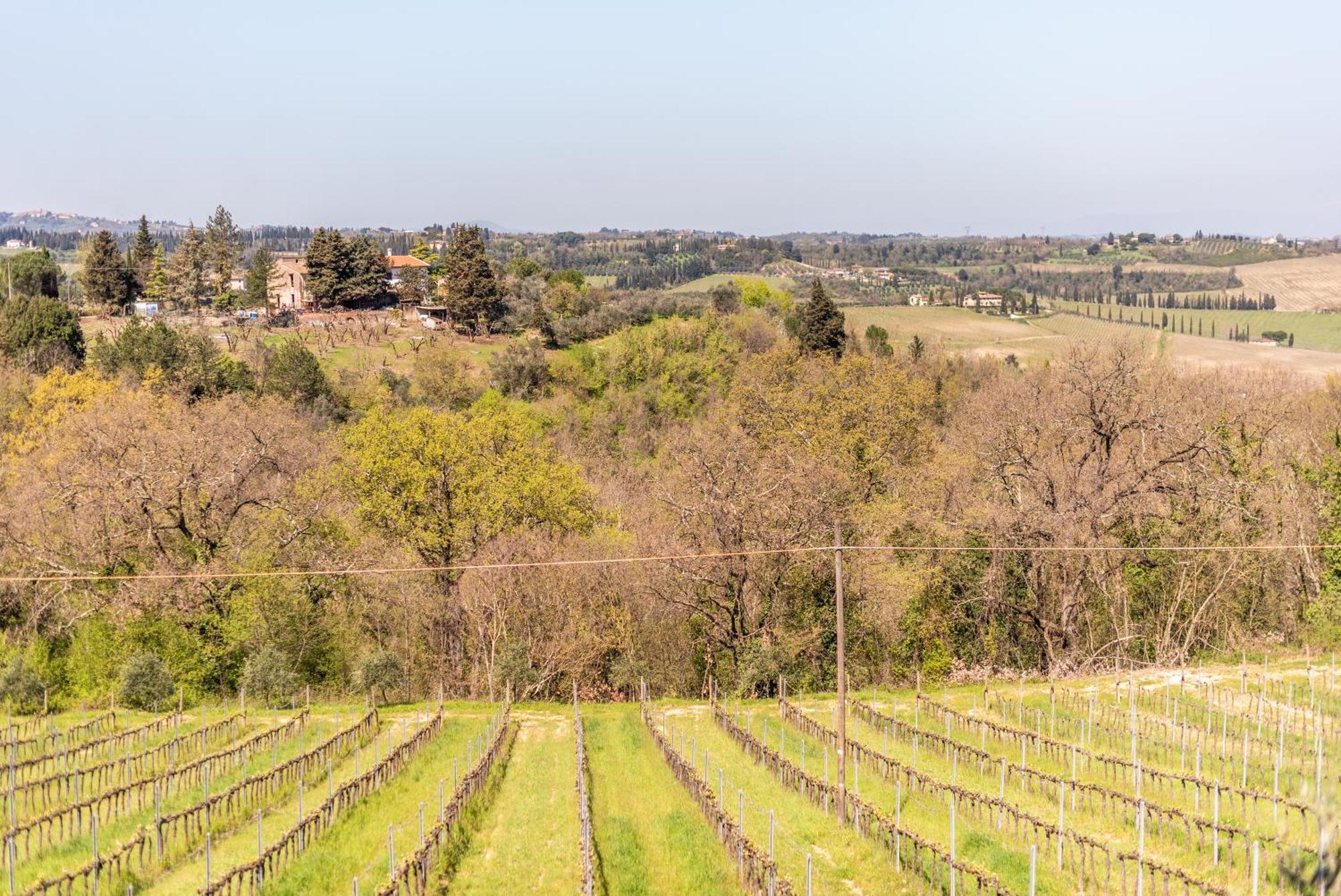 Country House Tenuta Fornacelle San Gimignano Zewnętrze zdjęcie