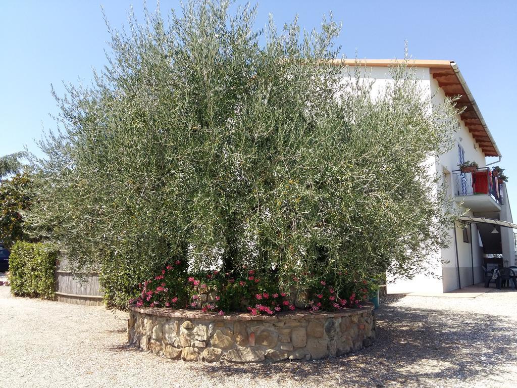 Country House Tenuta Fornacelle San Gimignano Zewnętrze zdjęcie